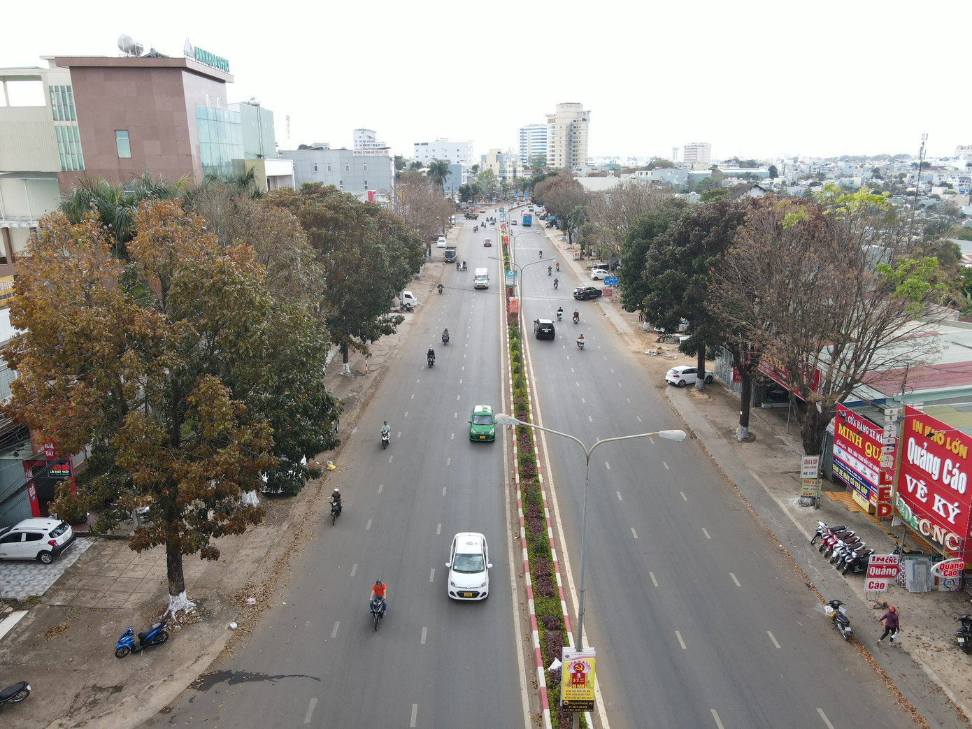 Cây xanh trên đường Lê Duẩn (TP.Pleiku) rất đẹp