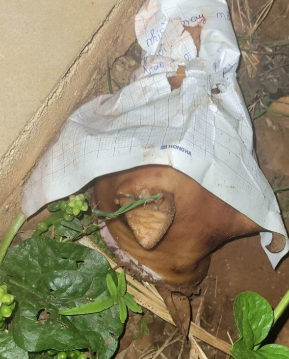 Đầu chó ném vào nhà ông T.V.Y