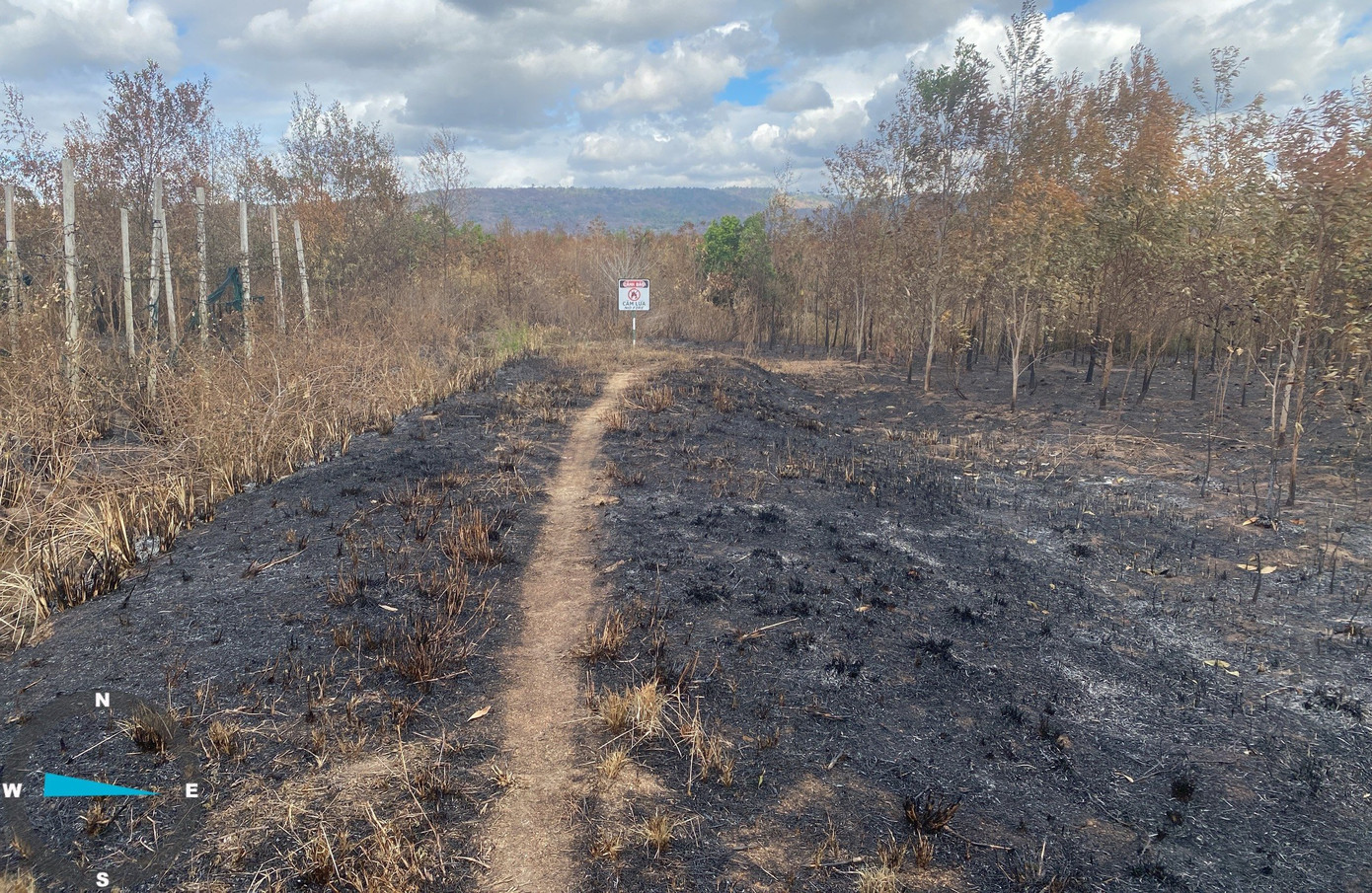 Trang trại hồ tiêu và keo lai của Công ty Trường Thịnh bị cháy