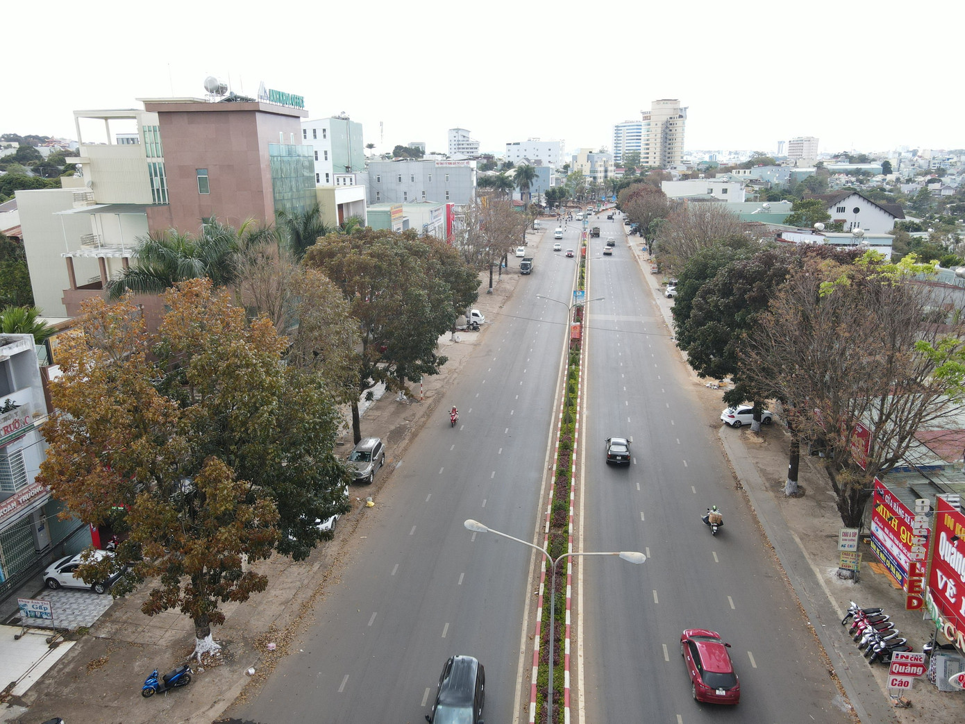 Rất nhiều người lo sợ, việc chặt rễ cây dễ khiến cây ngã đổ