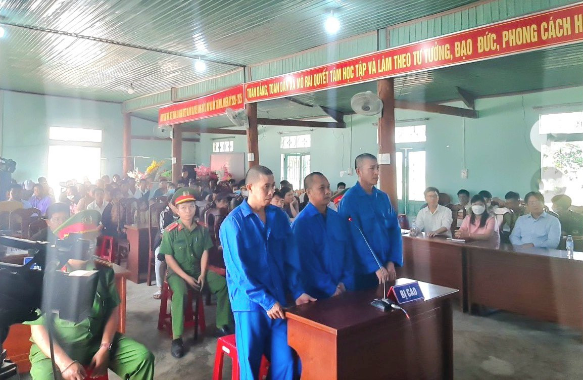 Ba bị cáo tham gia phá rừng lãnh án