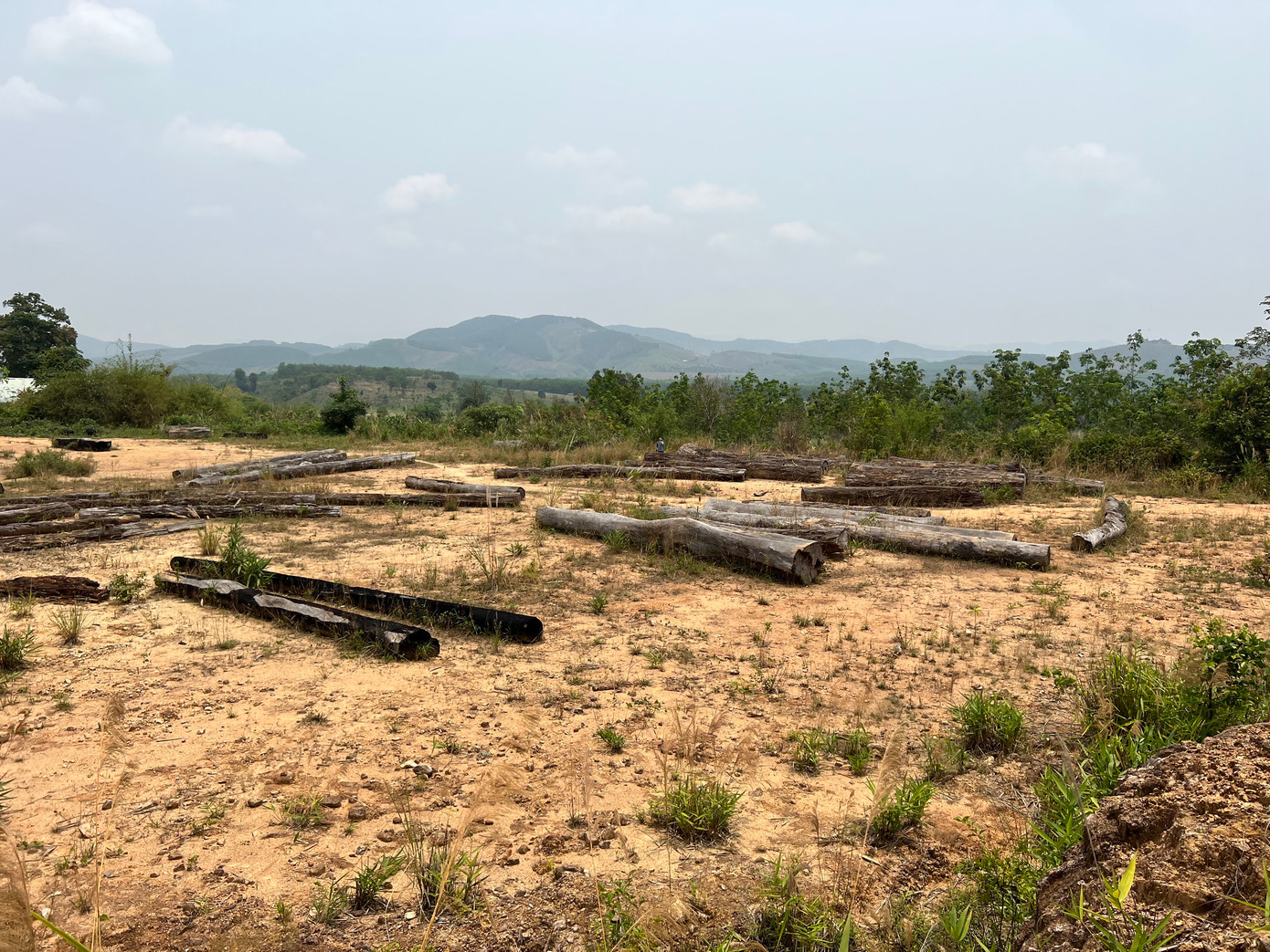 Một trong những bãi gỗ tang vật chờ thanh lý ở huyện Đăk Tô Một trong những bãi gỗ tang vật chờ thanh lý ở huyện Đăk Tô