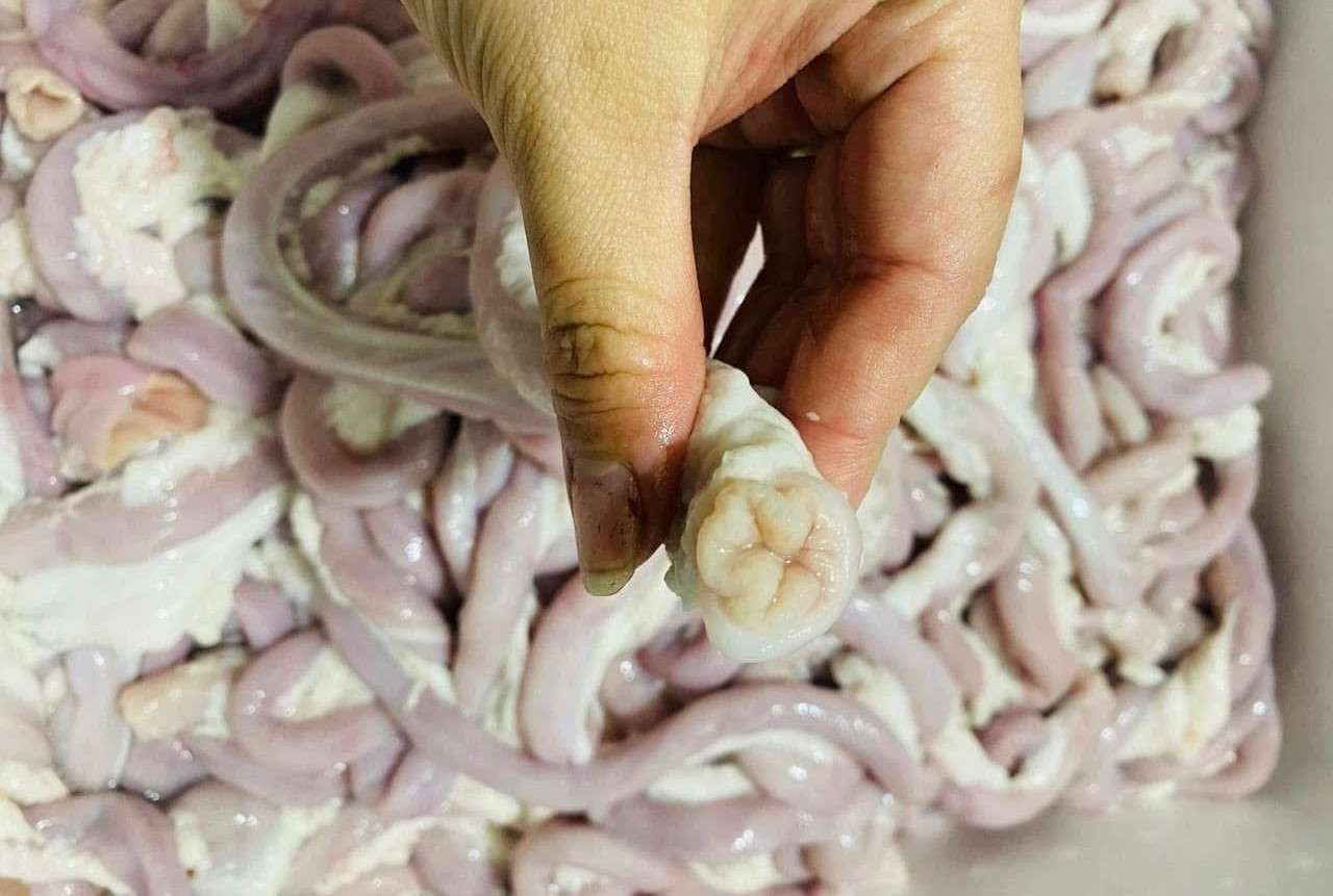 Lòng xe điếu được rao bán trên các hội nhóm sỉ lẻ thực phẩm nhập khẩu. Lòng xe điếu được rao bán trên các hội nhóm sỉ lẻ thực phẩm nhập khẩu.