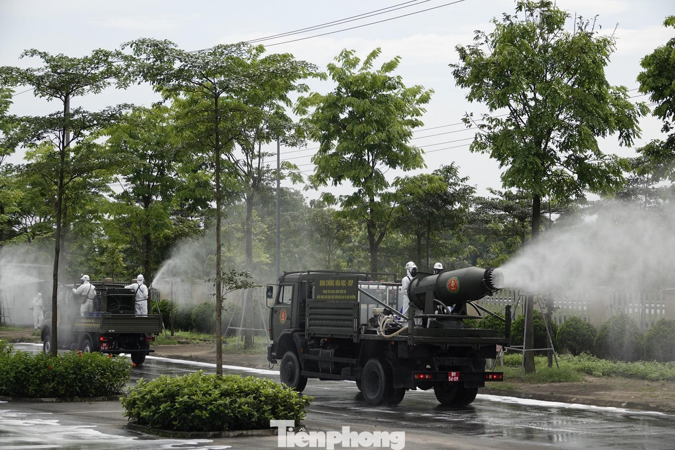 Ảnh: Nguyễn Minh