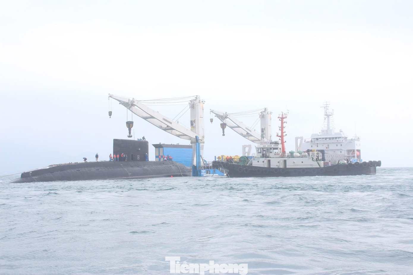 Đưa Tàu ngầm 182 rời tàu vận chuyển Roldock Sea để chính thức gia nhập Hải quân nhân dân Việt Nam, tháng 1/2014