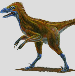 Ảnh minh họa. Ảnh minh họa