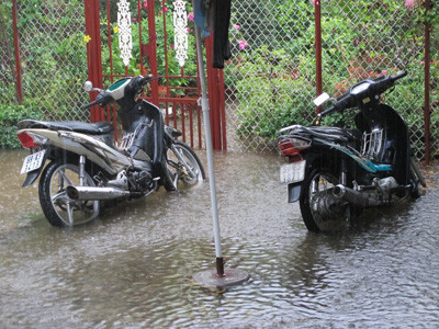 Mưa làm cho nhiều sân nhà thành vũng nước