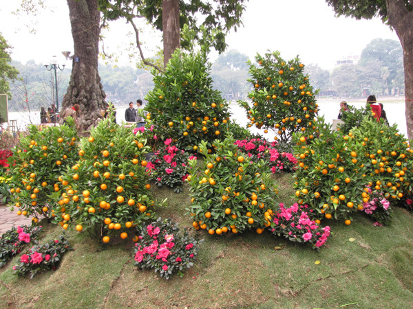 Tác phẩm “Hoa đào vào xuân” 
