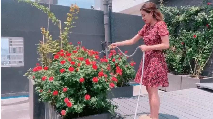 (Ảnh cắt ra từ clip)