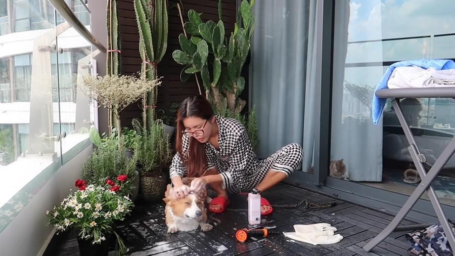 Người đẹp tưới cây và chăm sóc cún cưng mỗi ngày. Người đẹp tưới cây và chăm sóc cún cưng mỗi ngày.