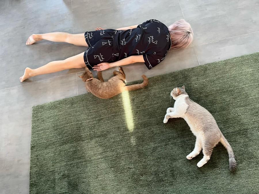 Tóc Tiên hóa "mèo lười" trong ngày đầu giãn cách xã hội. Tóc Tiên hóa "mèo lười" trong ngày đầu giãn cách xã hội.