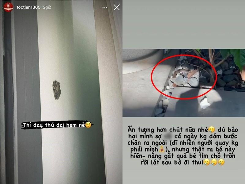 "Thế giới động vật" ở biệt thự triệu đô được giọng ca Em Không Là Duy Nhất chia sẻ.