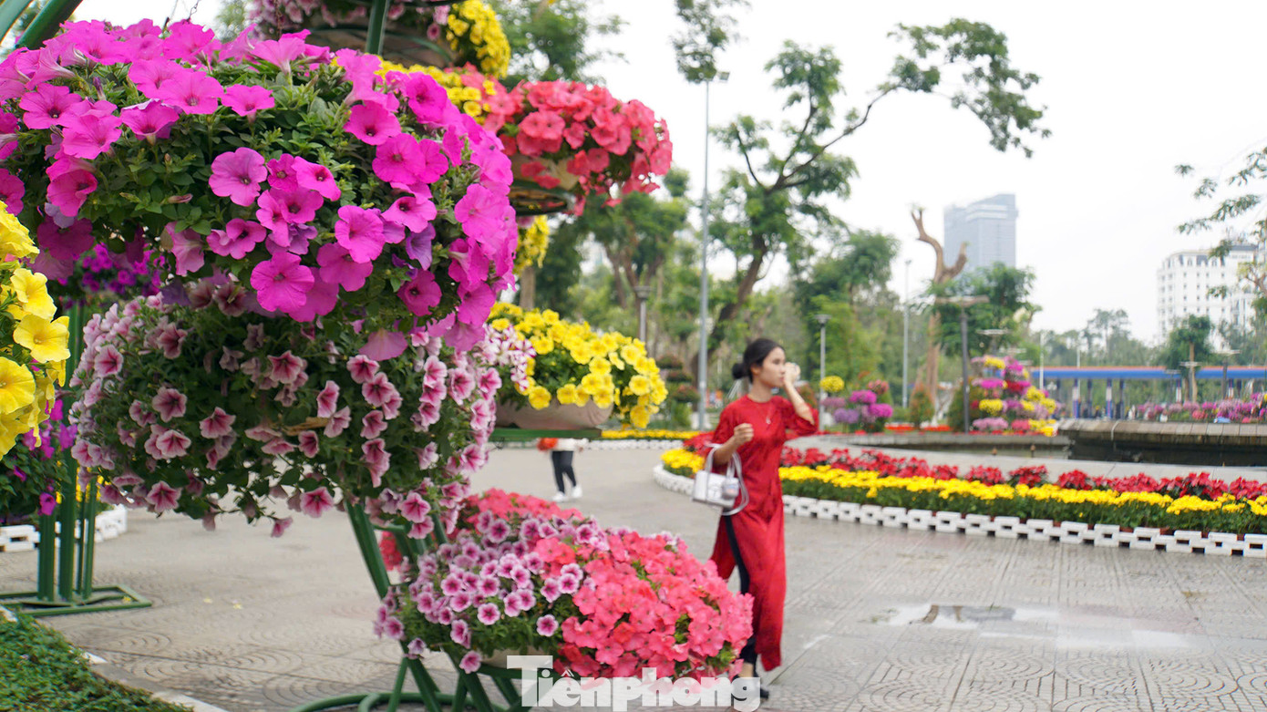 Dọc vườn hoa trung tâm dài khoảng 3km, gồm các khu vực: Vườn hoa Lê Chân, vườn hoa Tam Kỳ, vườn hoa Nguyễn Văn Trỗi, vườn hoa Nguyễn Bỉnh Khiêm, vườn hoa Nguyễn Du, vườn hoa Kim Đồng, vườn hoa Tố Hữu... được trang trí hàng trăm nghìn cây hoa cảnh các loại. Dọc vườn hoa trung tâm dài khoảng 3km, gồm các khu vực: Vườn hoa Lê Chân, vườn hoa Tam Kỳ, vườn hoa Nguyễn Văn Trỗi, vườn hoa Nguyễn Bỉnh Khiêm, vườn hoa Nguyễn Du, vườn hoa Kim Đồng, vườn hoa Tố Hữu... được trang trí hàng trăm nghìn cây hoa cảnh các loại.