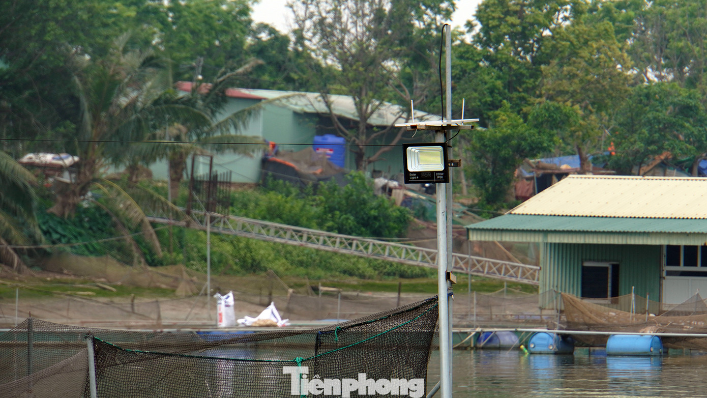 Theo anh Công, nguyên nhân là do lồng bè nuôi cá quá dày đặc, phủ kín cả một khúc sông, lòng sông bị thu hẹp, nhất là khu vực khúc cua, sông lượn. Vào ban đêm, hàng nghìn lồng bè đồng loạt thắp đèn sáng một khúc sông, khiến lái tàu bị giảm tầm nhìn, khó xác định luồng tuyến di chuyển dẫn đến sự cố.