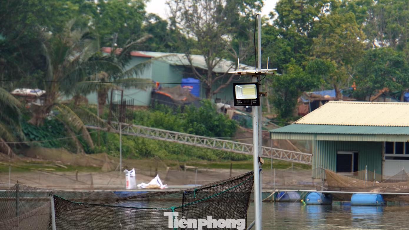 Theo anh Công, nguyên nhân là do lồng bè nuôi cá quá dày đặc, phủ kín cả một khúc sông, lòng sông bị thu hẹp, nhất là khu vực khúc cua, sông lượn. Vào ban đêm, hàng nghìn lồng bè đồng loạt thắp đèn sáng một khúc sông, khiến lái tàu bị giảm tầm nhìn, khó xác định luồng tuyến di chuyển dẫn đến sự cố.