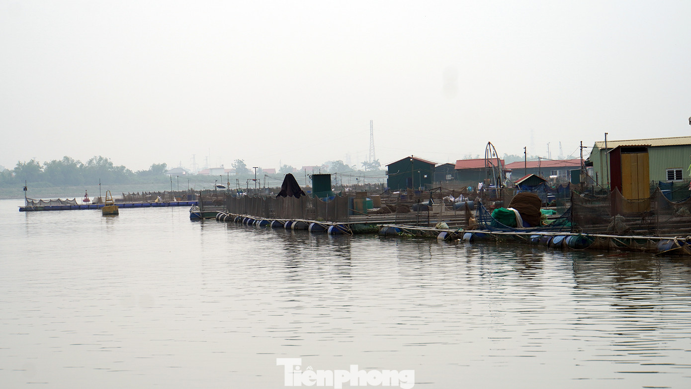 Còn anh Phạm Công (40 tuổi) chia sẻ, sông Kinh Thầy có rất nhiều phương tiện vận tải, tàu thuyền lưu. Khu vực sông chảy qua huyện Nam Sách và TP Chí Linh từng xảy ra nhiều vụ tai nạn, sự cố giao thông thủy giữa các tàu thuyền với lồng bè nuôi cá.