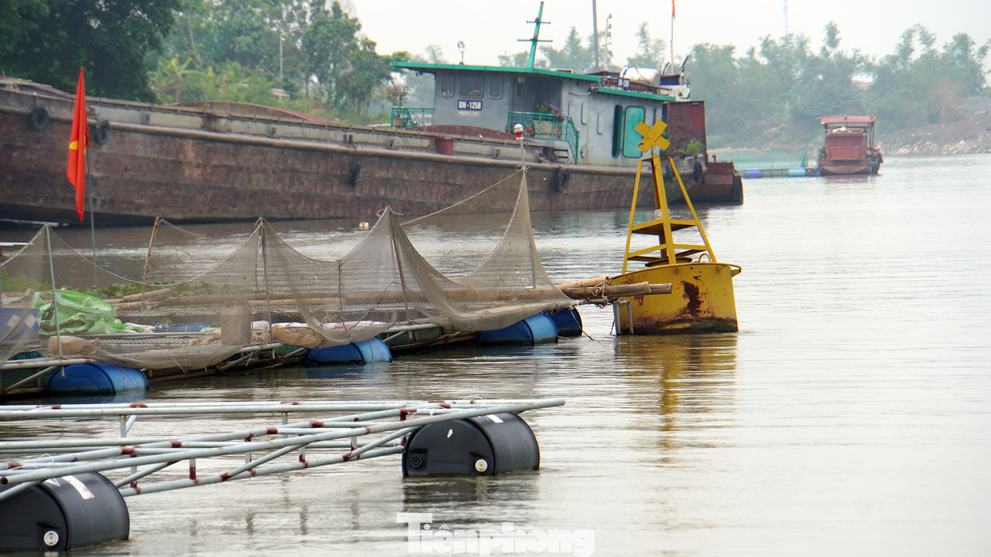 Ghi nhận của PV Tiền Phong, nhiều vị trí phao xác định luồng tuyến giao thông thủy trên sông Kinh Thầy có dấu hiệu bị lồng bè che khuất. Thậm chí, nhiều hộ đặt ô lồng nuôi thủy sản vượt ra khỏi các cọc phao tiêu.