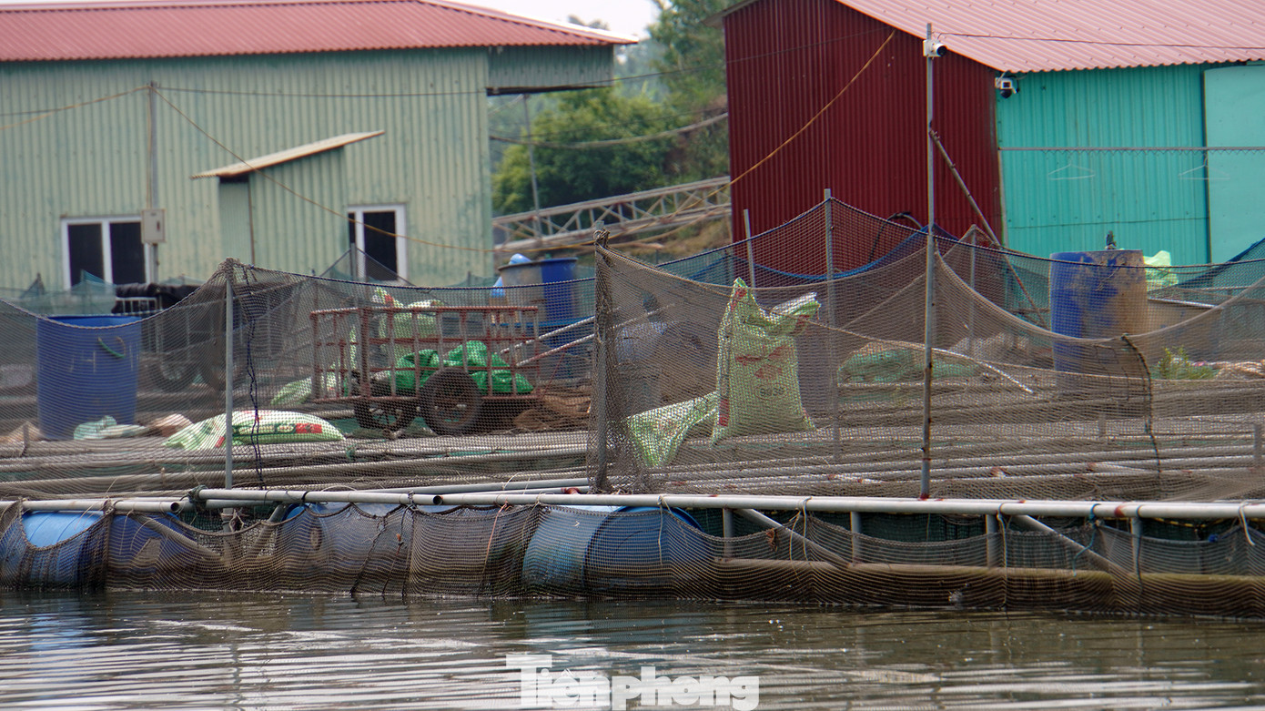 Ô lồng được thiết kế bằng khung thép gắn phao nhựa. Dưới nước, các hộ dân thả lưới nuôi thủy sản, còn phần trên nhiều hộ dựng nhà mái tôn.