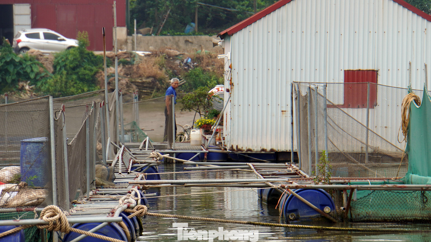 Ô lồng được thiết kế bằng khung thép gắn phao nhựa. Dưới nước, các hộ dân thả lưới nuôi thủy sản, còn phần trên nhiều hộ dựng nhà mái tôn.