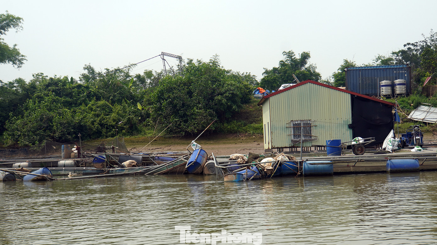 Ông Trần Minh (người địa phương) cho biết, hàng chục hộ dân dựng cầu sắt làm lối di chuyển từ bờ sông dẫn xuống bè. Trên bè, nhiều hộ thiết kế, dựng nhà mái tôn để ở.