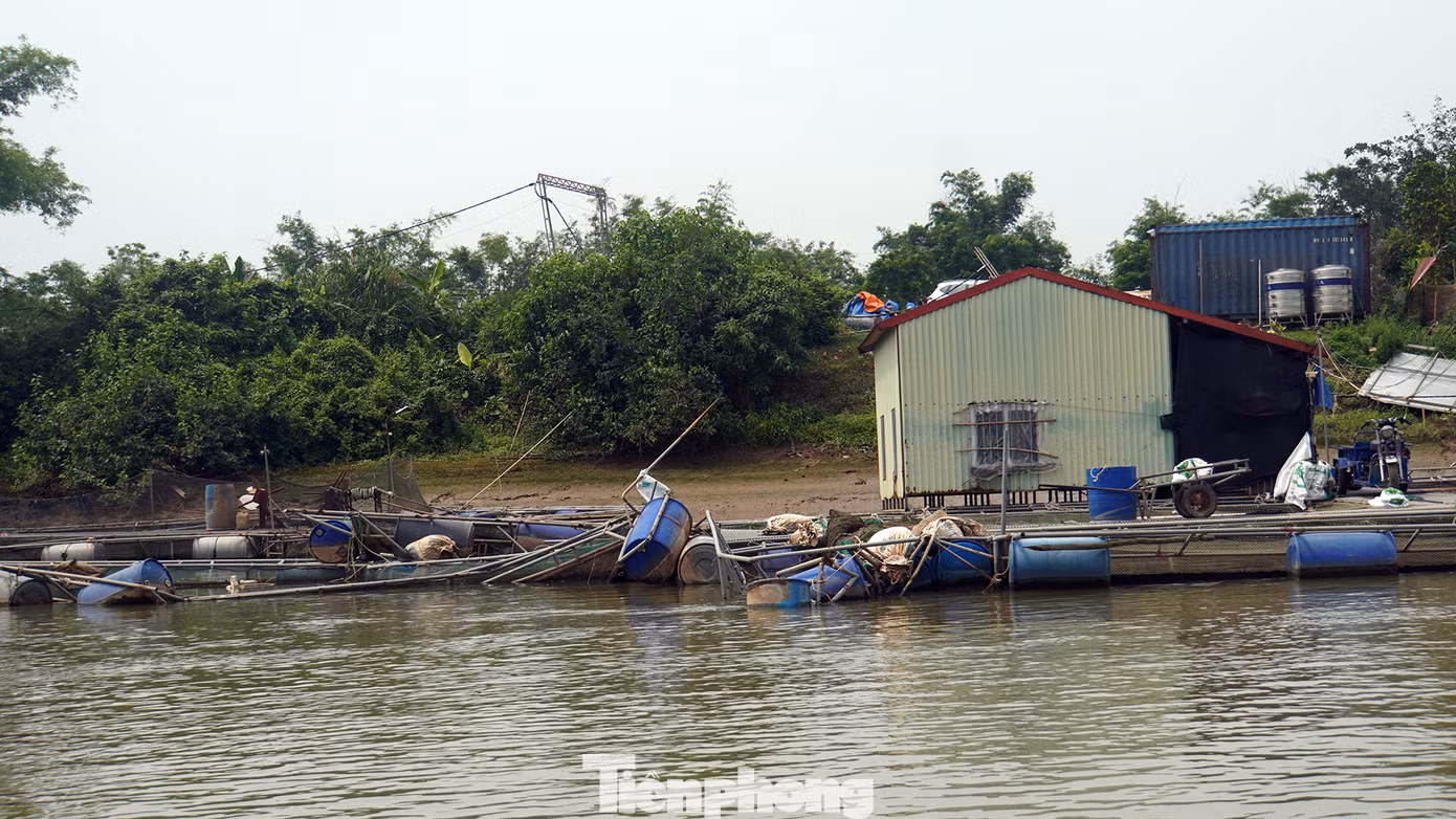 Ông Trần Minh (người địa phương) cho biết, hàng chục hộ dân dựng cầu sắt làm lối di chuyển từ bờ sông dẫn xuống bè. Trên bè, nhiều hộ thiết kế, dựng nhà mái tôn để ở.