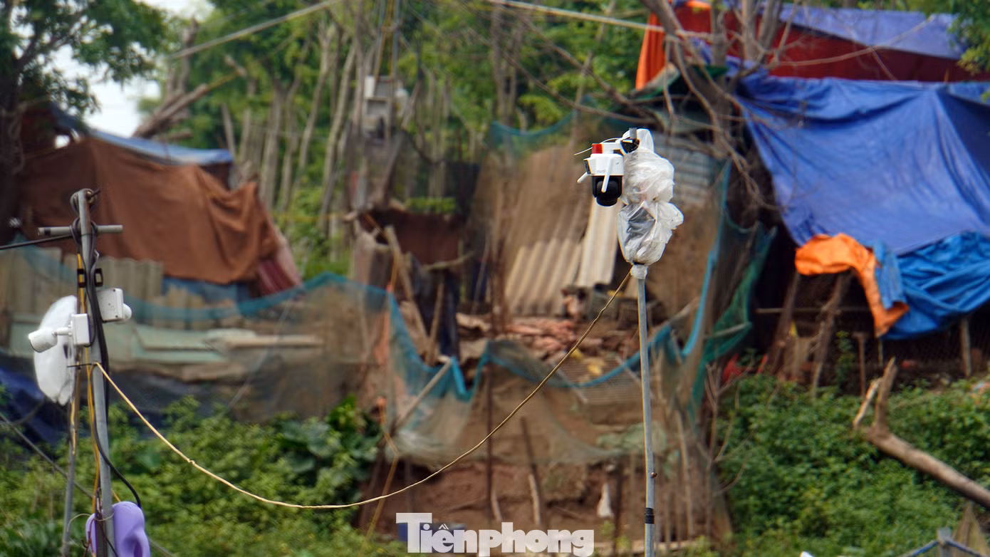 Theo anh Công, nguyên nhân là do lồng bè nuôi cá quá dày đặc, phủ kín cả một khúc sông, lòng sông bị thu hẹp, nhất là khu vực khúc cua, sông lượn. Vào ban đêm, hàng nghìn lồng bè đồng loạt thắp đèn sáng một khúc sông, khiến lái tàu bị giảm tầm nhìn, khó xác định luồng tuyến di chuyển dẫn đến sự cố.