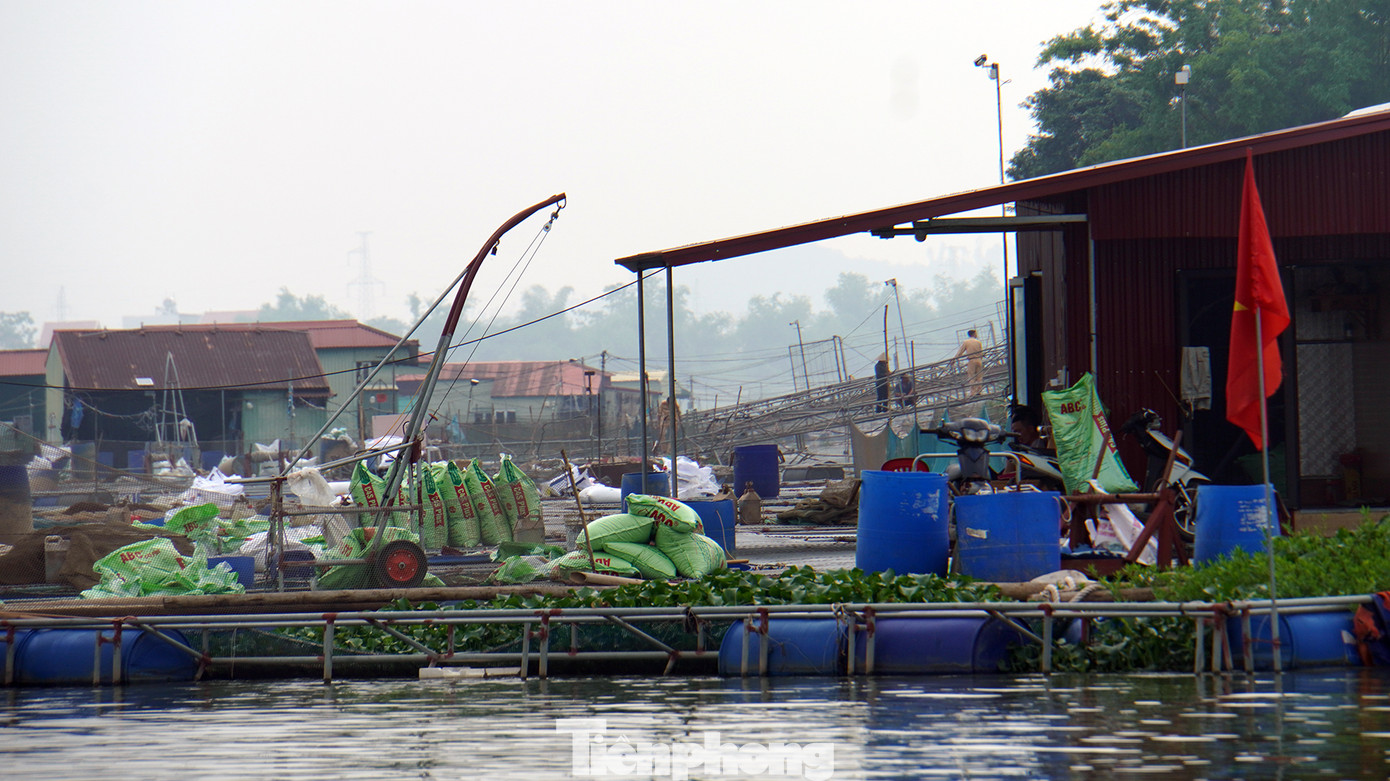 Ghi nhận của PV Tiền Phong, bờ sông Kinh Thầy, đoạn chảy qua địa phận các xã Nam Tân, Nam Hưng (huyện Nam Sách, tỉnh Hải Dương) dày đặc nhà nổi, ô lồng nuôi trồng thủy sản.