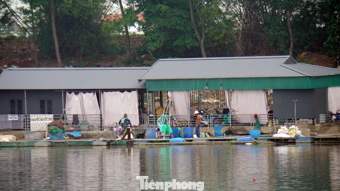 Ông Trần Minh (người địa phương) cho biết, hàng chục hộ dân dựng cầu sắt làm lối di chuyển từ bờ sông dẫn xuống bè. Trên bè, nhiều hộ thiết kế, dựng nhà mái tôn để ở.
