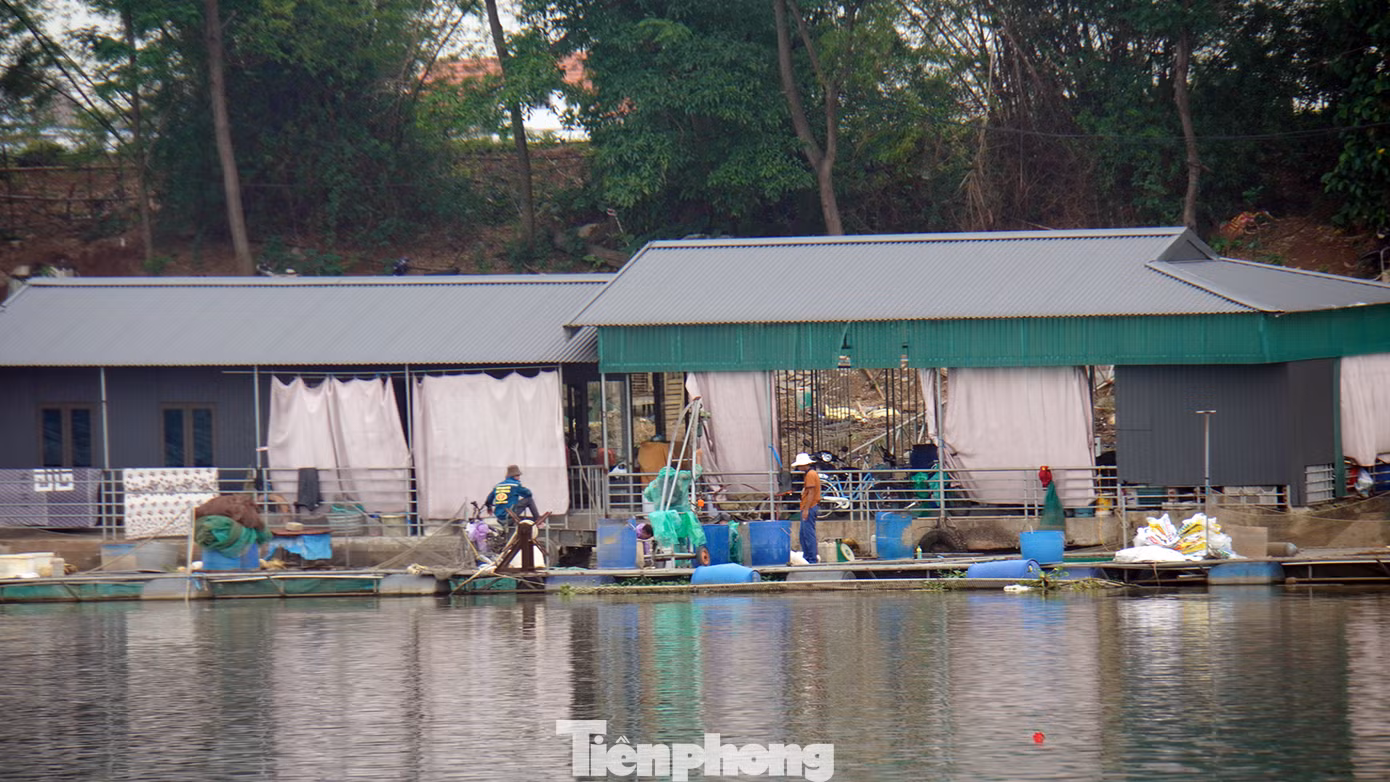Ông Trần Minh (người địa phương) cho biết, hàng chục hộ dân dựng cầu sắt làm lối di chuyển từ bờ sông dẫn xuống bè. Trên bè, nhiều hộ thiết kế, dựng nhà mái tôn để ở.
