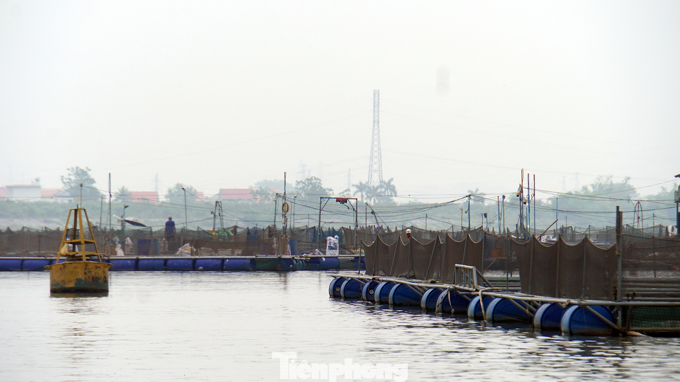 Khúc sông Kinh Thầy, đoạn từ ngã ba sông Kinh Thầy - sông Thái Bình đến cầu Bình (huyện Nam Sách, tỉnh Hải Dương) dài chưa đến 10km nhưng có đến hàng nghìn ô lồng được thiết kế để nuôi trồng thủy sản. Những ô lồng này phủ kín trên mặt nước khiến lòng sông bị thu hẹp, ảnh hưởng tới các hoạt động vận tải, tiềm ẩn xảy ra tai nạn giao thông đường thủy, ô nhiễm môi trường.