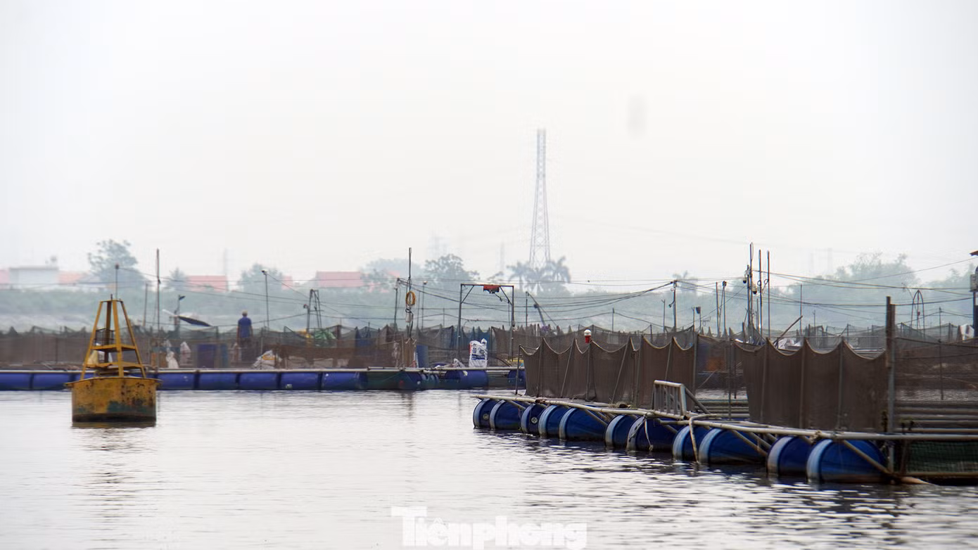 Khúc sông Kinh Thầy, đoạn từ ngã ba sông Kinh Thầy - sông Thái Bình đến cầu Bình (huyện Nam Sách, tỉnh Hải Dương) dài chưa đến 10km nhưng có đến hàng nghìn ô lồng được thiết kế để nuôi trồng thủy sản. Những ô lồng này phủ kín trên mặt nước khiến lòng sông bị thu hẹp, ảnh hưởng tới các hoạt động vận tải, tiềm ẩn xảy ra tai nạn giao thông đường thủy, ô nhiễm môi trường.