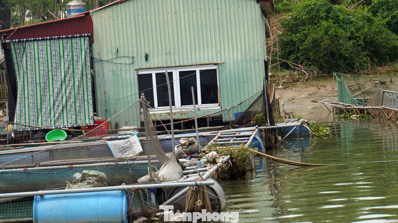 Theo ông Minh, nhiều năm trước, một số hộ nuôi trồng thủy sản nhỏ lẻ trên sông có hiệu quả. Vài năm gần đây, hàng trăm hộ khác ồ ạt đóng bè, thiết kế ô lồng bằng khung thép phủ kín hàng nghìn mét vuông mặt nước. Các ô lồng được dàn hàng ngang ra lòng sông rộng 50-70m, xếp dày đặc cả một khúc sông Kinh Thầy.
