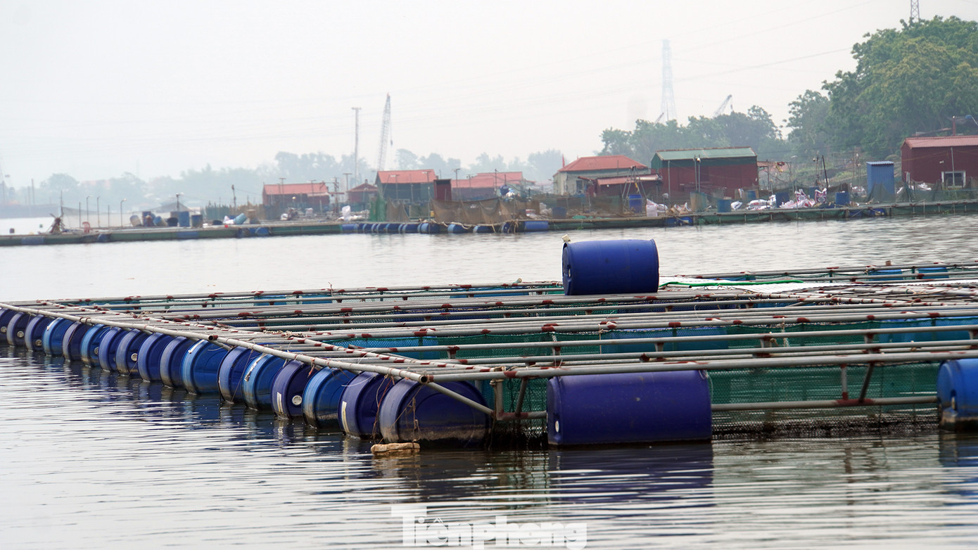 Ghi nhận của PV Tiền Phong, bờ sông Kinh Thầy, đoạn chảy qua địa phận các xã Nam Tân, Nam Hưng (huyện Nam Sách, tỉnh Hải Dương) dày đặc nhà nổi, ô lồng nuôi trồng thủy sản.