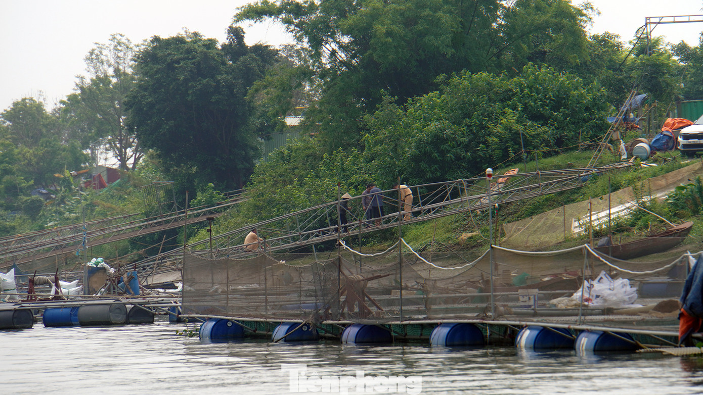 Mới đây, một sự cố giữa tàu chở hàng va chạm với lồng bè nuôi cá khiến cả tàu và lồng bè nuôi cá bị hư hỏng. Lực lượng chức năng đã vào cuộc điều tra, xác minh làm rõ.