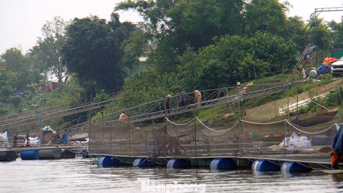 Mới đây, một sự cố giữa tàu chở hàng va chạm với lồng bè nuôi cá khiến cả tàu và lồng bè nuôi cá bị hư hỏng. Lực lượng chức năng đã vào cuộc điều tra, xác minh làm rõ.