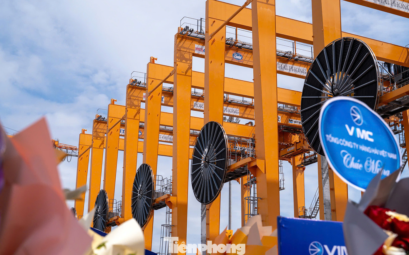 Nối tiếp thành công của các bến cảng, nhiều nhà đầu tư đã tiếp tục đầu tư các bến cảng tiếp theo tại khu bến Lạch Huyện, đến nay đã có 4 bến đưa vào khai thác thương mại (bến 1, 2, 5 và 6).