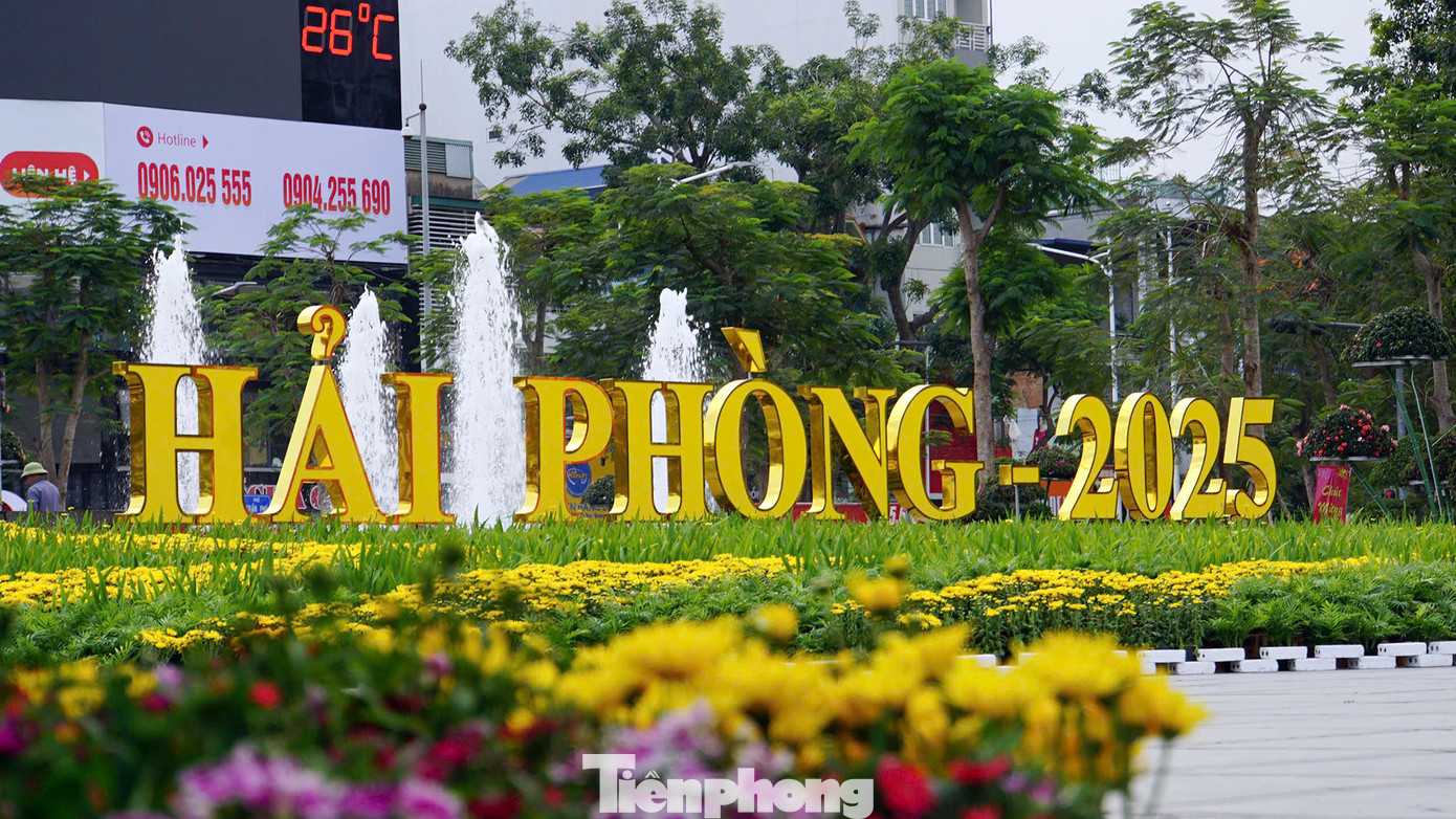 Chị Ngọc (người Hải Phòng) cho biết, mỗi dịp Tết đến, dải vườn hoa trung tâm được trang trí nhiều loài hoa tươi rực rỡ. Tuy nhiên, khoảng 10 năm nay, thành phố không trang trí linh vật theo chủ đề năm như nhiều tỉnh khác. Chị Ngọc (người Hải Phòng) cho biết, mỗi dịp Tết đến, dải vườn hoa trung tâm được trang trí nhiều loài hoa tươi rực rỡ. Tuy nhiên, khoảng 10 năm nay, thành phố không trang trí linh vật theo chủ đề năm như nhiều tỉnh khác.