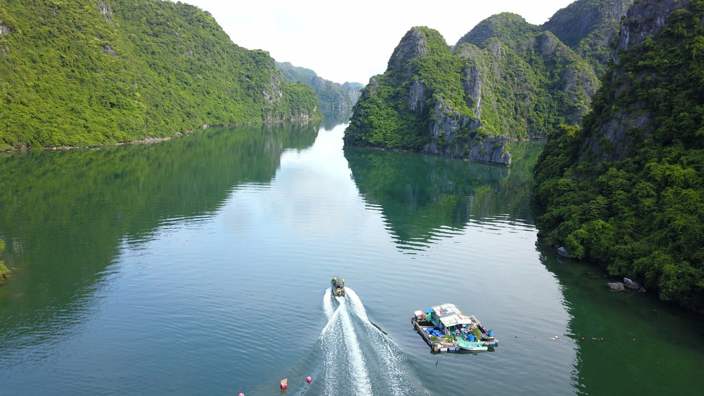 Vườn quốc gia Cát Bà (Cát Hải, Hải Phòng) là một trong những khu dự trữ sinh quyển lớn nhất Việt Nam. Đến với Cát Bà, du khách không chỉ được khám phá cảnh quan thiên nhiên hùng vĩ, độc đáo mà còn được khám phá hệ sinh thái động, thực vật đa dạng. Trong đó, có loài Voọc chỉ có ở Cát Bà.