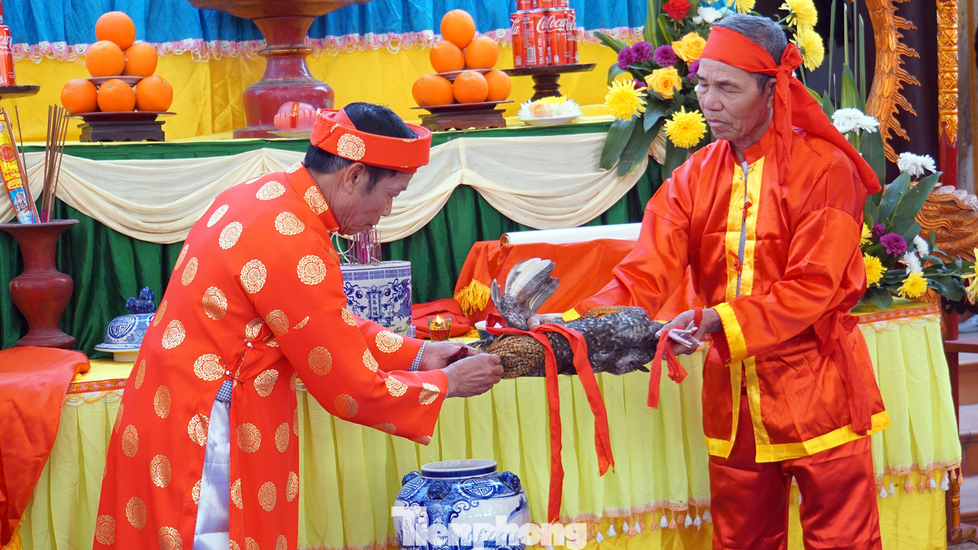 Sau khi kết thúc lời thề, chủ tế lễ hội thực hiện nghi thức cắt tiết kim kê hòa với rượu trắng rồi cùng các bô lão trong làng uống cạn.