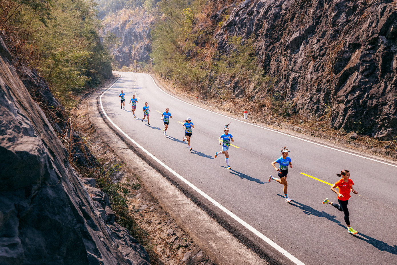 Các runner chạy trên đường hoa xuyên đảo Cát Bà năm 2024.