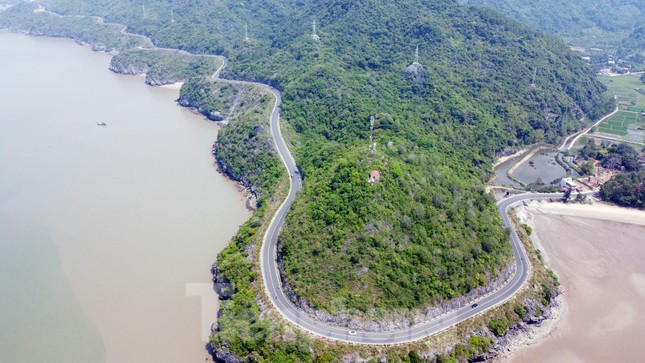 Cung đường hoa xuyên đảo, nơi các vận động viên trải nghiệm thiên nhiên hùng vĩ trên đảo Cát Bà. Cung đường hoa xuyên đảo, nơi các vận động viên trải nghiệm thiên nhiên hùng vĩ trên đảo Cát Bà.