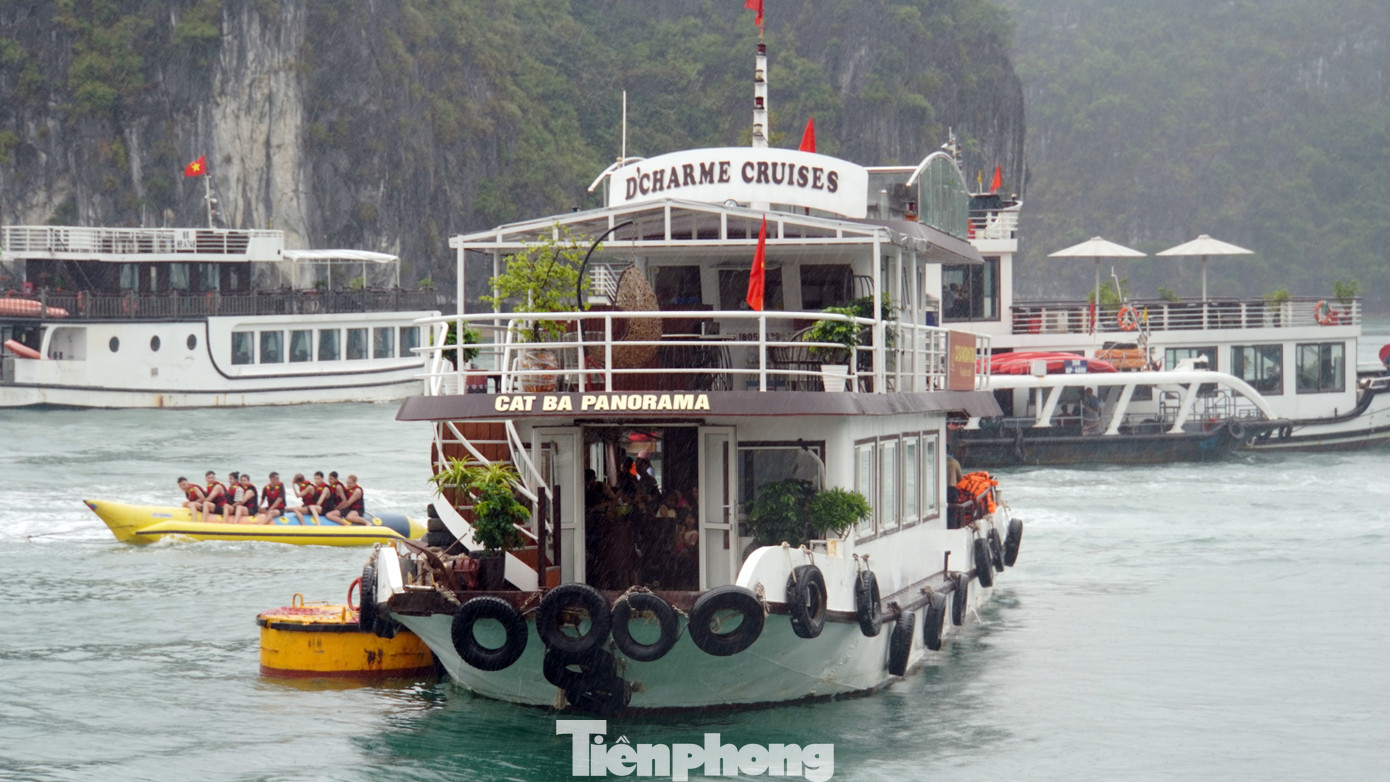 Một lái tàu du lịch ở Cát Bà chia sẻ, đầu mùa du lịch hè, phần lớn khách du lịch ra Cát Bà đều lựa chọn và tỏ ra thích thú với hành trình đi tàu tham quan, ngắm vịnh thuộc Di sản thiên nhiên thế giới quần đảo Cát Bà.