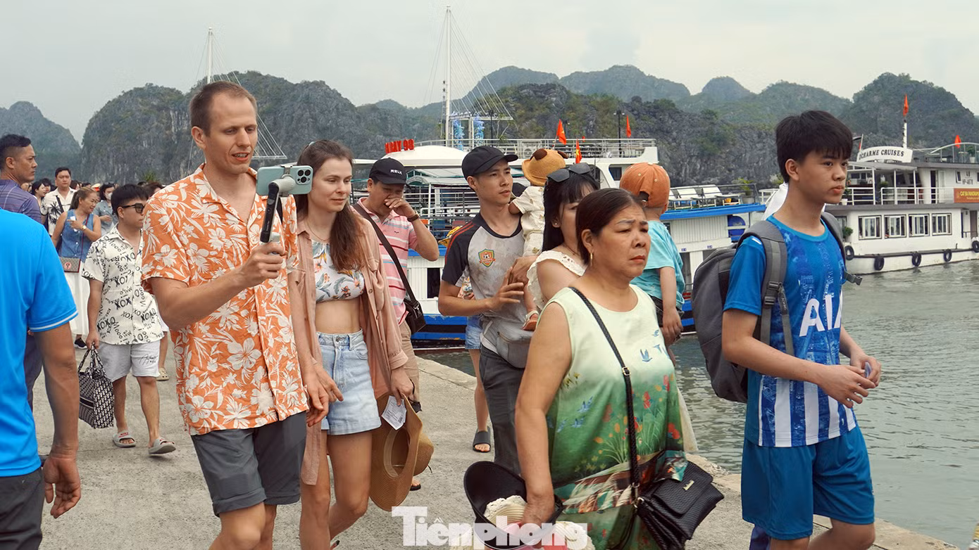 Khách du lịch nước ngoài đăng ký mua vé tàu tham quan ngắm vịnh Lan Hạ, thuộc Di sản thiên nhiên thế giới quần đảo Cát Bà.