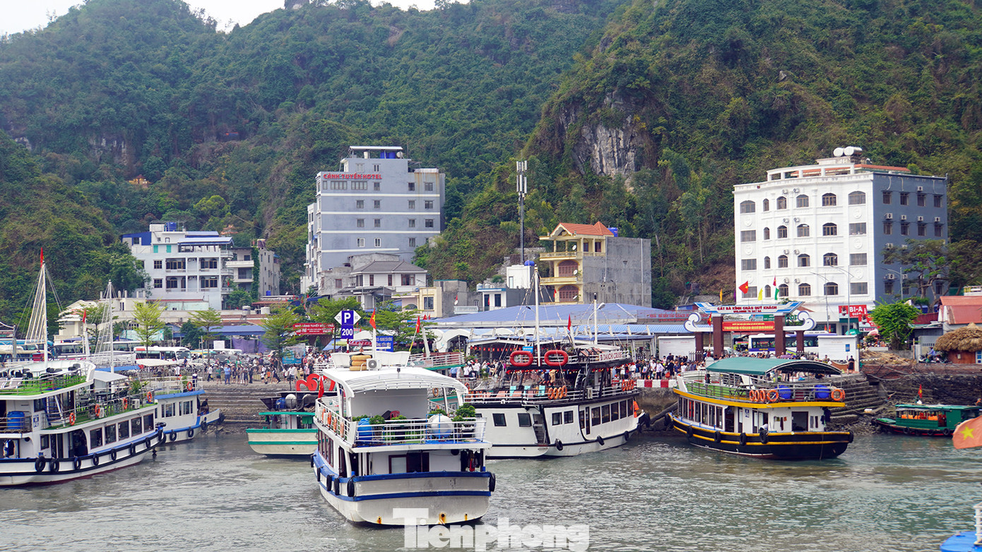 Cao điểm 9h và 15h, hàng chục tàu, du thuyền cập bến Cái Bèo đón khách đi tour tham quan, ngắm vịnh với nhiều hoạt động hấp dẫn như: tắm biển, chèo thuyền kayak, thăm quan làng chài cổ Việt Hải...