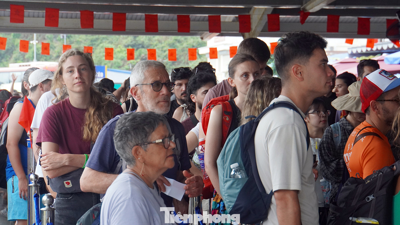 Khách du lịch nước ngoài đăng ký mua vé tàu tham quan ngắm vịnh Lan Hạ, thuộc Di sản thiên nhiên thế giới quần đảo Cát Bà.