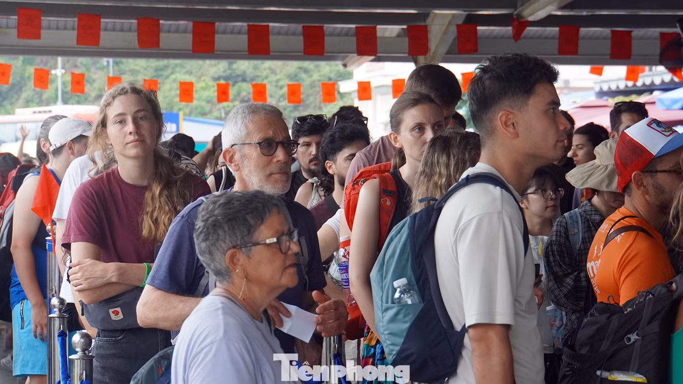 Khách du lịch nước ngoài đăng ký mua vé tàu tham quan ngắm vịnh Lan Hạ, thuộc Di sản thiên nhiên thế giới quần đảo Cát Bà.