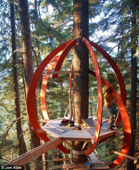 Khung của ngôi nhà.