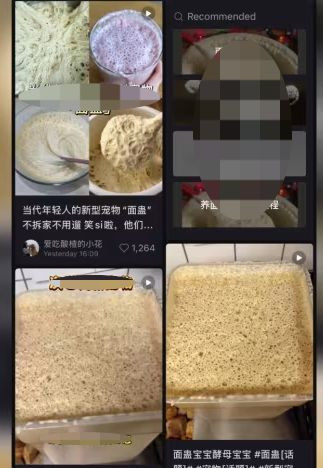 Nhiều người dùng mạng đã chia sẻ video về các "em bé nấm men" của họ. Ảnh: Xiaohongshu Nhiều người dùng mạng đã chia sẻ video về các "em bé nấm men" của họ. Ảnh: Xiaohongshu