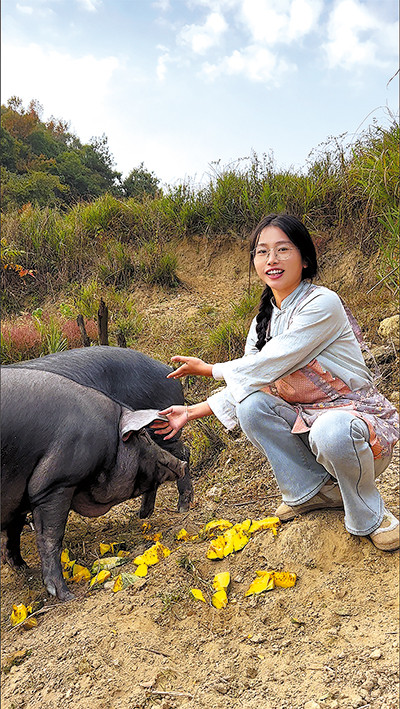 Sun Shuangshuang cho lợn ăn. Ảnh: China Daily