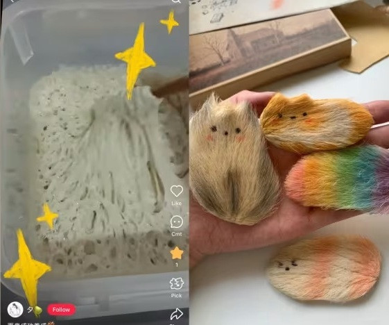 Từ hột xoài đến cục kem đánh răng và nuôi men bánh, Gen Z Trung Quốc tìm thấy niềm vui khi nuôi những món đồ kỳ quặc. Ảnh: Xiaohongshu/Maolizi, Xi, Ahzhuzaozao Từ hột xoài đến cục kem đánh răng và nuôi men bánh, Gen Z Trung Quốc tìm thấy niềm vui khi nuôi những món đồ kỳ quặc. Ảnh: Xiaohongshu/Maolizi, Xi, Ahzhuzaozao